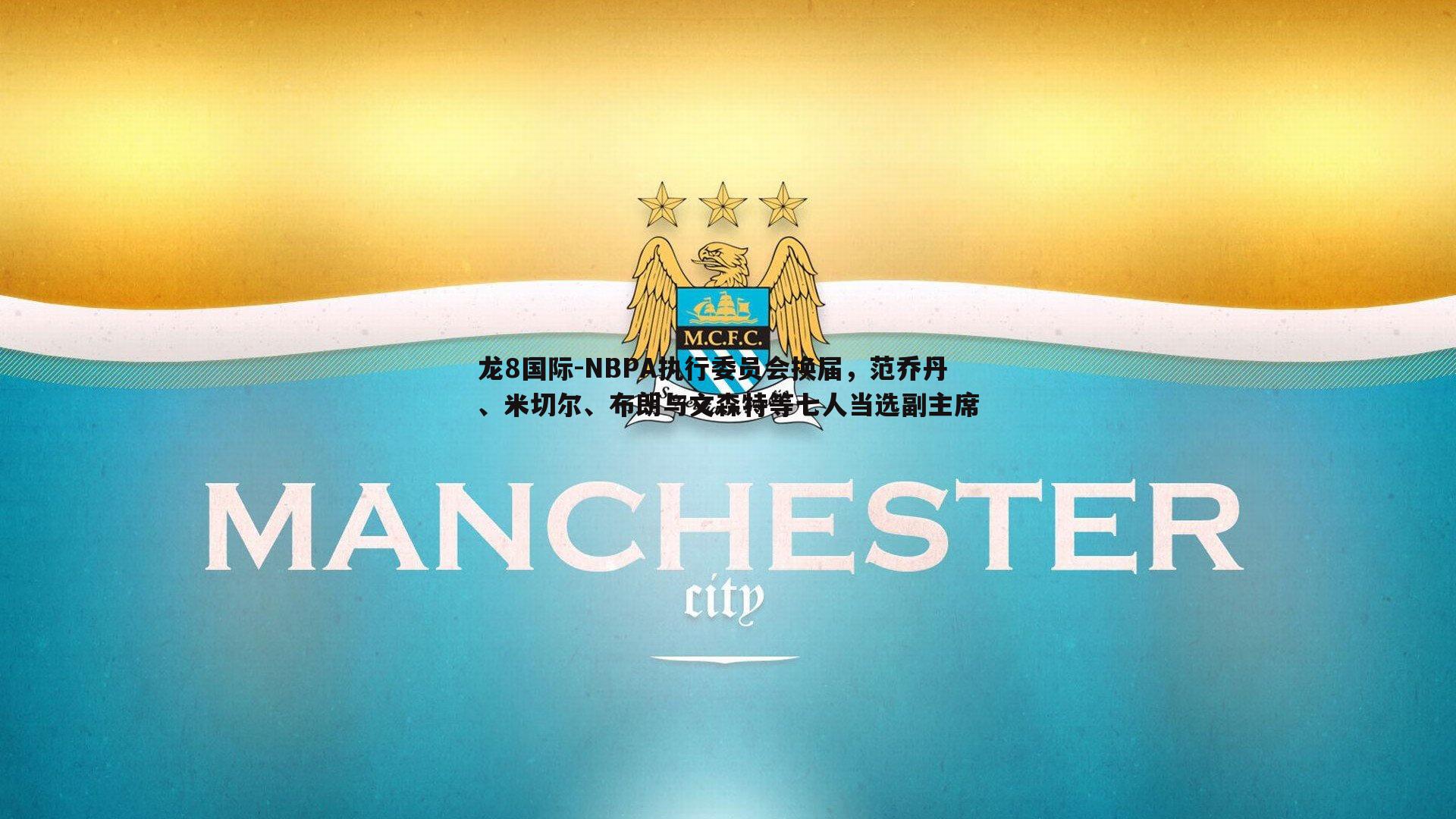 龙8国际-NBPA执行委员会换届，范乔丹、米切尔、布朗与文森特等七人当选副主席